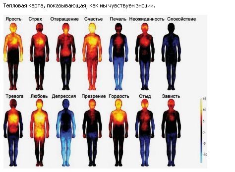 Эмоции человека на тепловизоре - Разное 