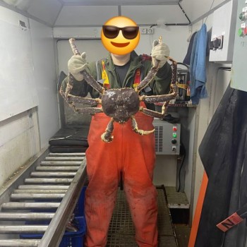 Открытка