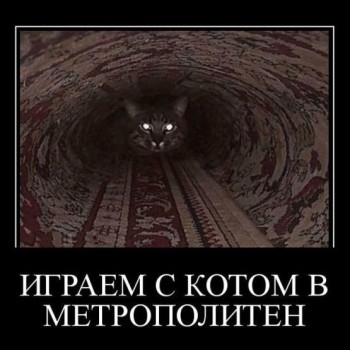 Открытка