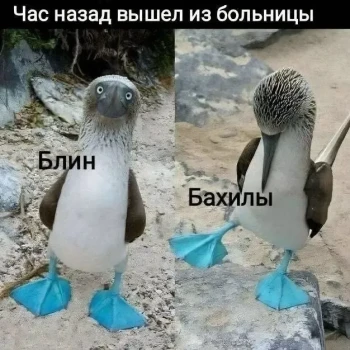 Открытка