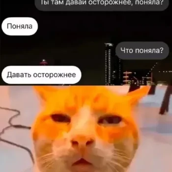 Открытка