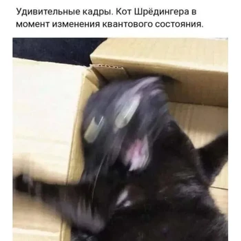 Открытка