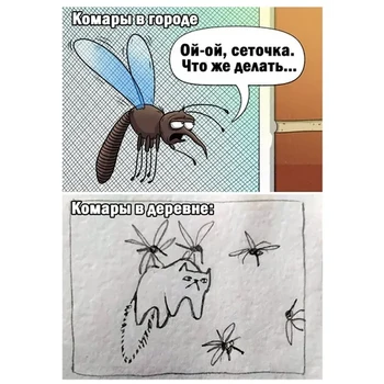 Открытка