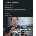Фотография дня / Юмор