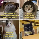 Фотография дня / Юмор