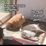 Фотография дня / Юмор