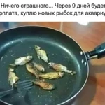 Фотография дня / Юмор
