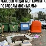 Фотография дня / Юмор