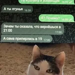 Фотография дня / Юмор