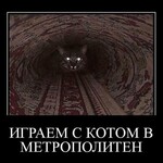 Фотография дня / Юмор