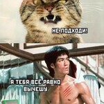 Фотография дня / Юмор