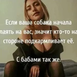 Фотография дня / Разное