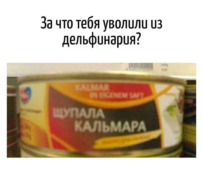Щупала кальмара - Юмор