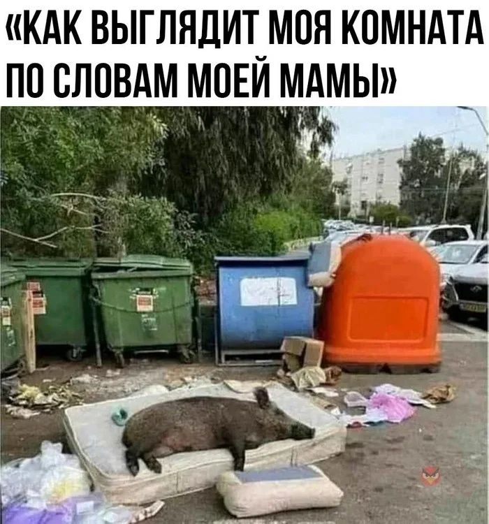 Как мою комнату видит моя мама - Юмор