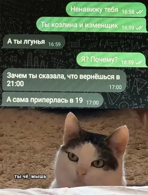 Ты че, мышь! - Юмор