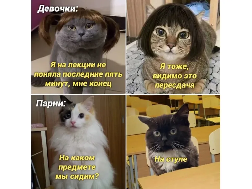 На каком предмете мы сидим? На стуле... - Юмор