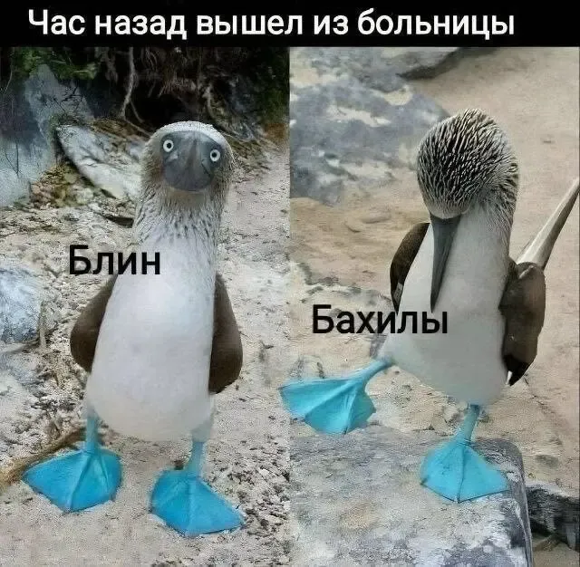Забыл снять бахилы - Юмор