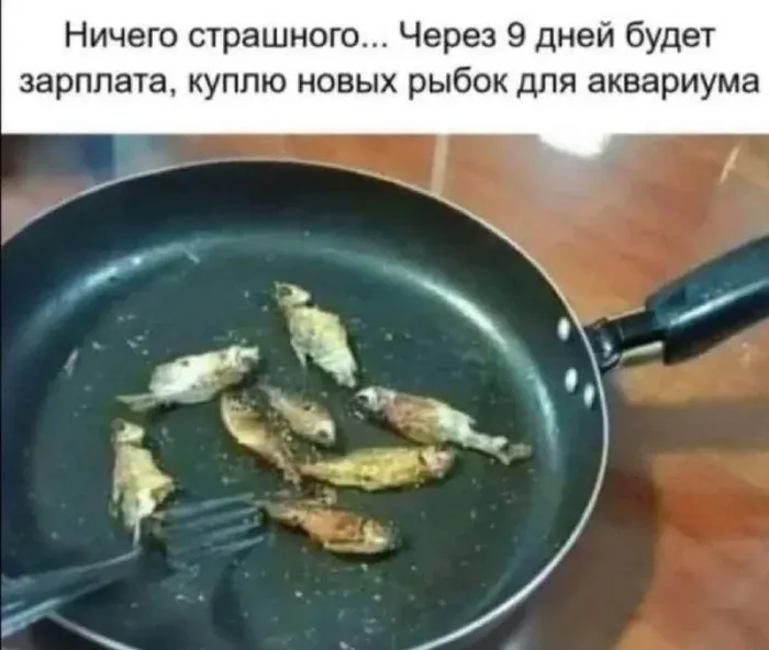 Пожарил аквариумных рыбок, с зарплаты куплю новых - Юмор