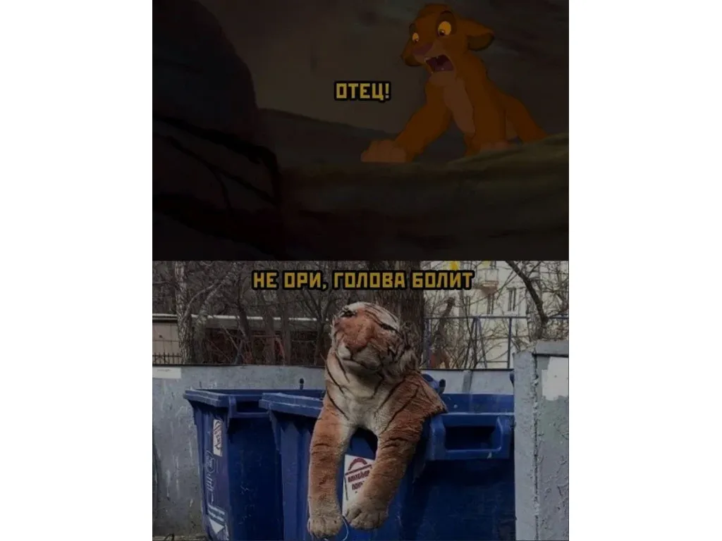 Не ори, Симба, голова болит! - Юмор