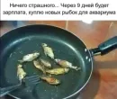 Пожарил аквариумных рыбок, с зарплаты куплю новы…