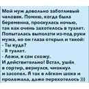 Заботливый муж сходил в туалет вместо жены
