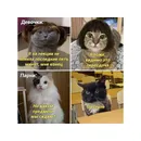 На каком предмете мы сидим? На стуле...