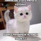Популярная фотография