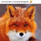 Популярная фотография