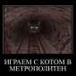 Популярная фотография