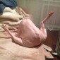 Популярная фотография