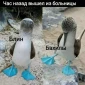 Популярная фотография