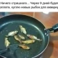 Популярная фотография