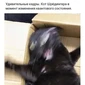Популярная фотография