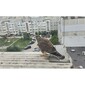 Популярная фотография